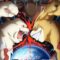 "Uchujin Mu-Mu" Enters Second Cour with New Visual & PV